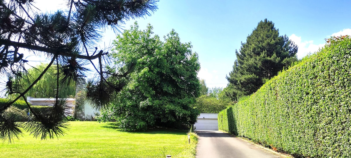 A tree-lined pathway leads to a private entrance, flanked by tall hedges on either side. Lush greenery is visible in the surrounding area, creating a sense of tranquility. A glimpse of a white garage is seen at the end of the driveway.