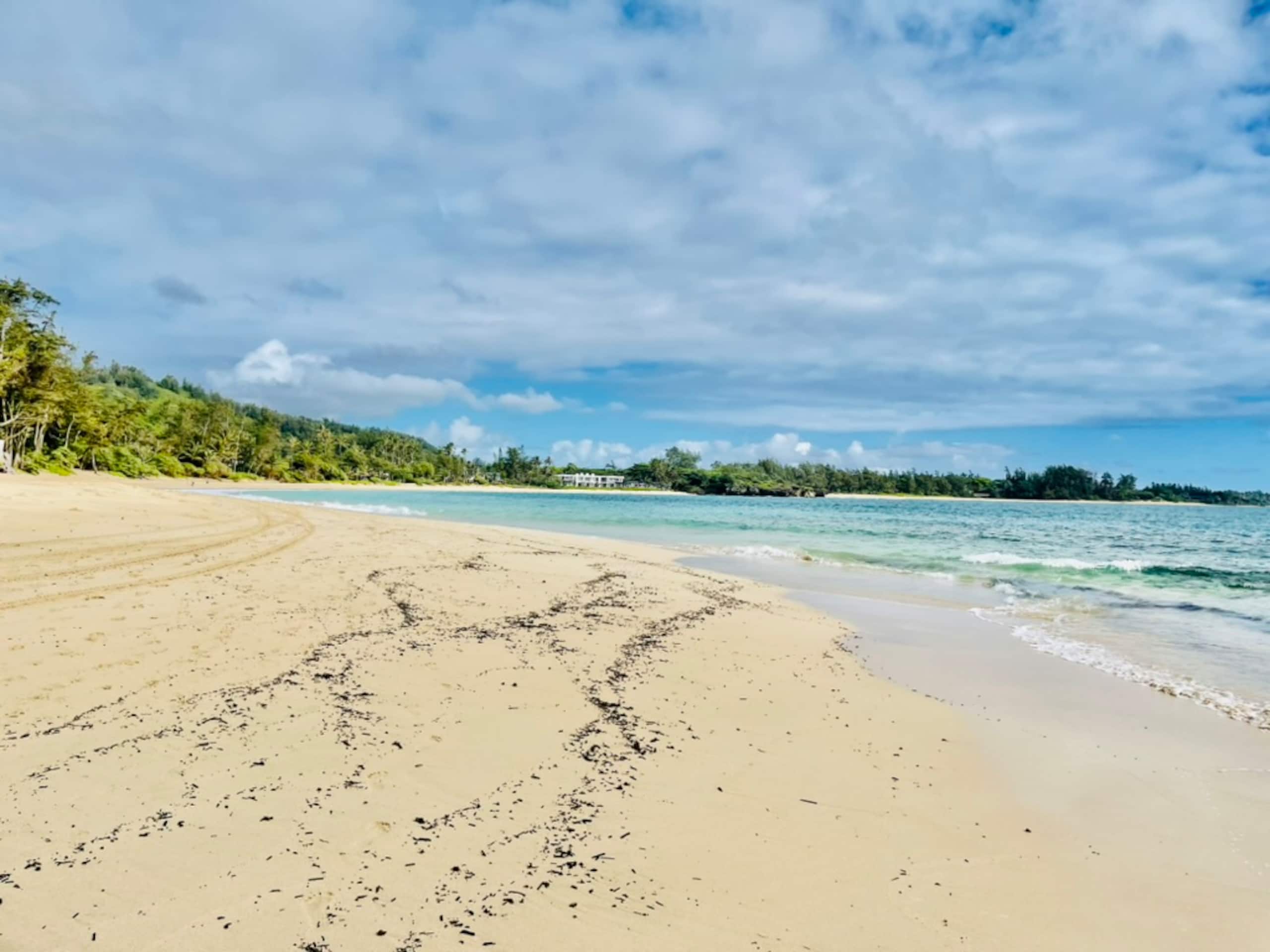 Guesthouse in Hauula · ★4.57 · 1 bedroom · 2 beds · 1 shared bath - Image 39