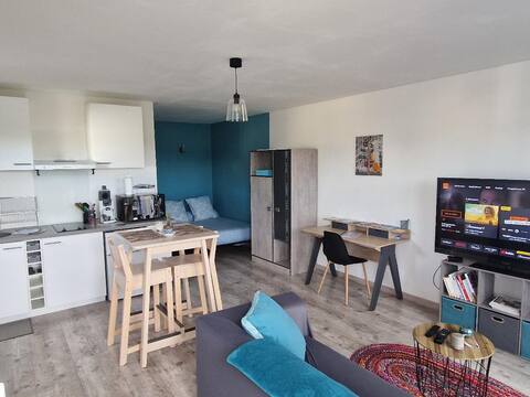 Grand Studio 33m²+ parking/terrace 5' Parc Expo