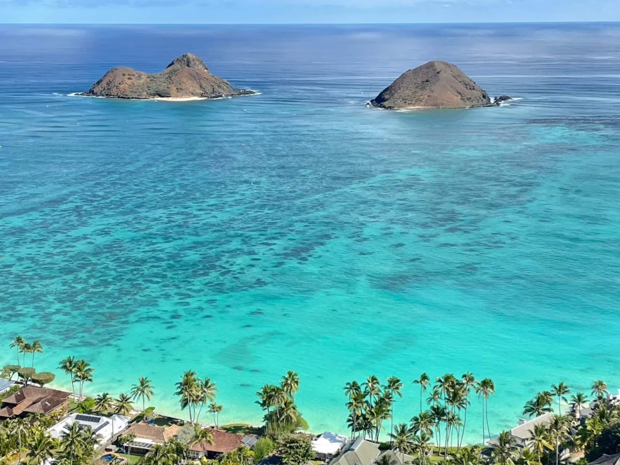 Condo in Honolulu · ★4.3 · 1 bedroom · 2 beds · 1 bath - Image 38