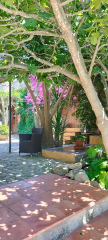 Ca la Figuera farmhouse with pool near the beach gallery image 5