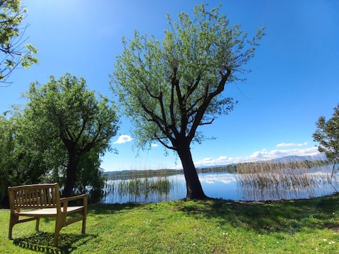 Miralago apartment with garden on the lake