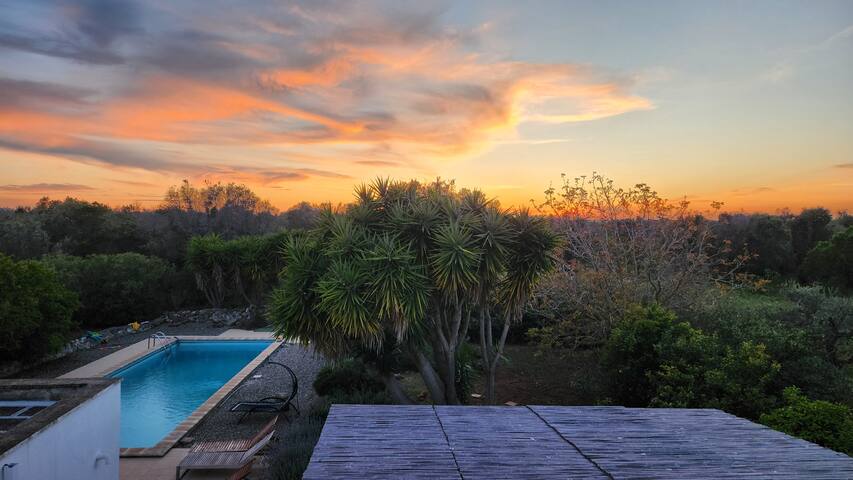 Villa Capperi – Pool, Privacy and Relax gallery image 2