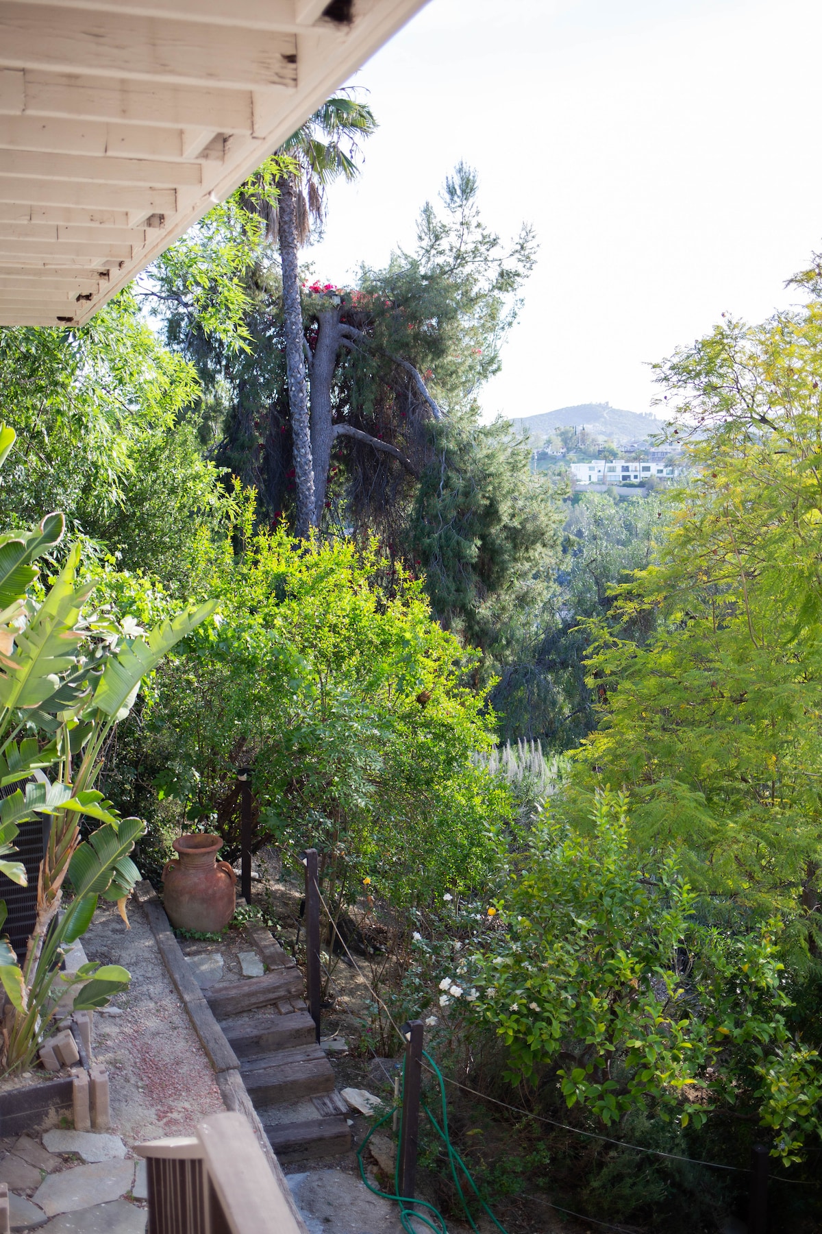 A lush outdoor area is framed by vibrant greenery, including palm trees and shrubs. A set of stone steps leads down through the foliage, creating a pathway to the natural surroundings. The sun filters gently through the leaves, suggesting a serene atmosphere.