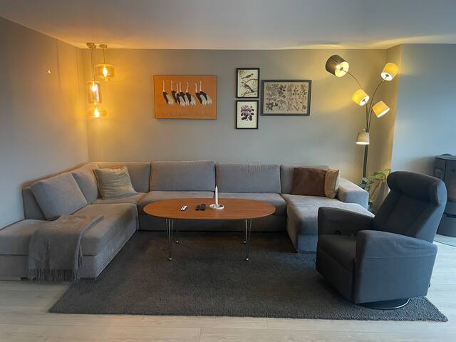 Stor leilighet (126 m²) – utsikt gallery image 2