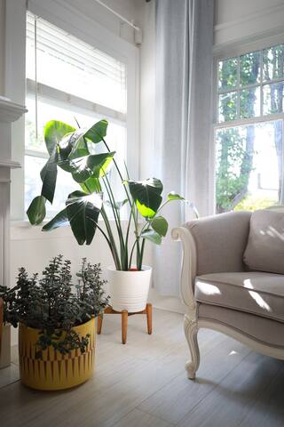 Modern Comfort Home, Kitsilano Vancouver. gallery image 3