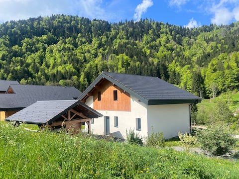 Villa Bellevaux with sauna and jacuzzi