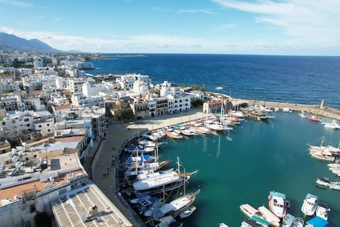 Narcissus with View of Kyrenia Castle and Harbor