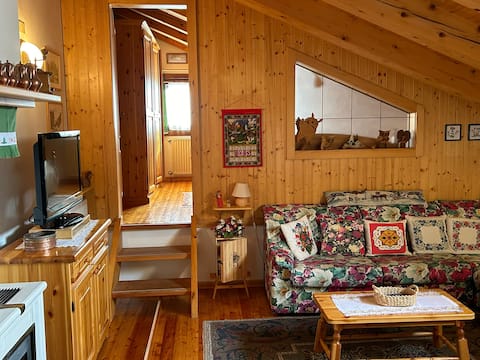 Delightful attic with a view
