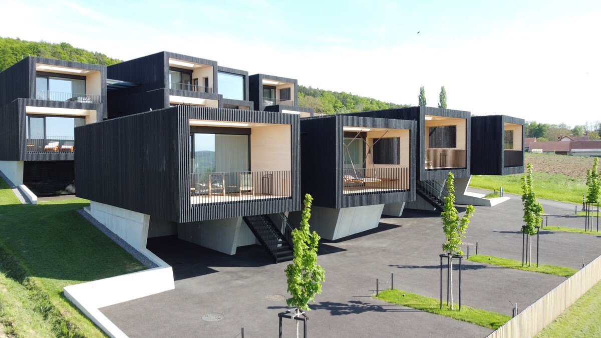 A contemporary architectural design is displayed through multiple lodges with dark wooden cladding. Each unit features large windows and balconies, creating a harmonious blend with the surrounding nature. A landscaped area with small trees is present in the foreground, complementing the structure.