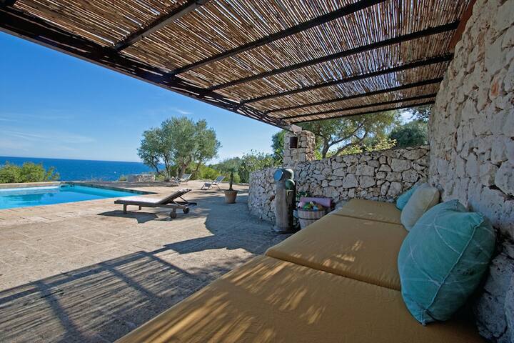 Grillo e Lucciola gallery image 3