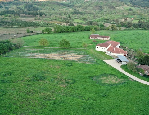 Casa Mato: Nature and Pets in Souto Alegre