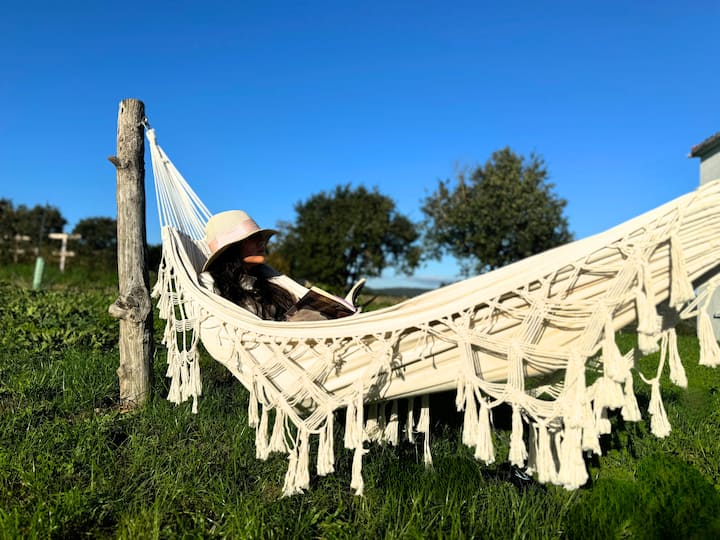 Casa Mato: Nature and Pets in Souto Alegre