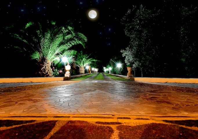 Villa dei Sogni Gallipoli gallery image 2