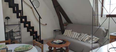 Successful Airbnb property: The logis des Arènes: apartment/loft "les coquelicots" in Le Mans