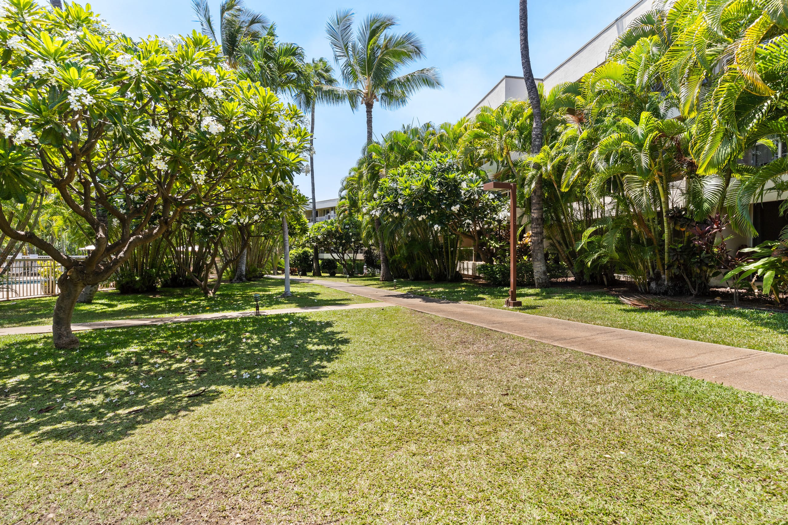 Kihei Apt: King & Queen Bed, Beach, Pools, AC, BBQ - Image 42