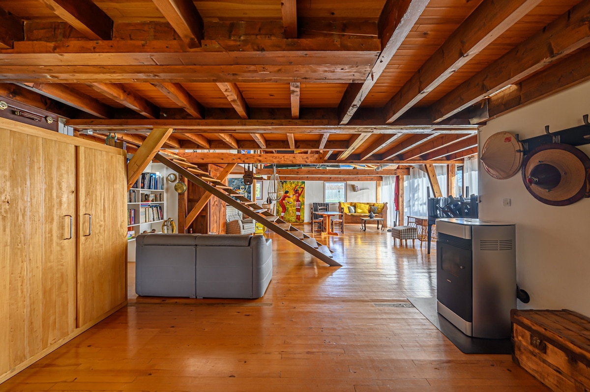 A spacious living area reveals a warm wooden ceiling supported by exposed beams. Natural light filters through large windows, illuminating a mix of lounge furniture, including a cozy sofa. Decorative elements, like vibrant artwork and bookshelves, contribute to the inviting space.