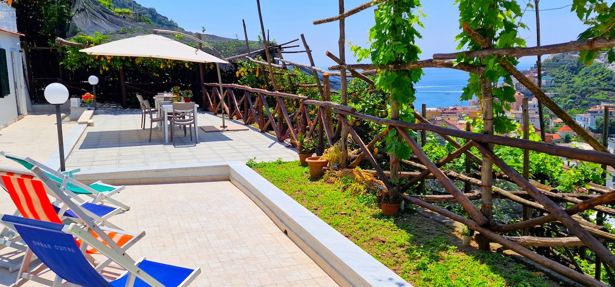 A large patio area is surrounded by a wooden fence with climbing plants, offering views of the sea and nearby hills. Sun loungers of blue and red stripes are positioned beside a shaded dining table, creating a relaxing outdoor space.