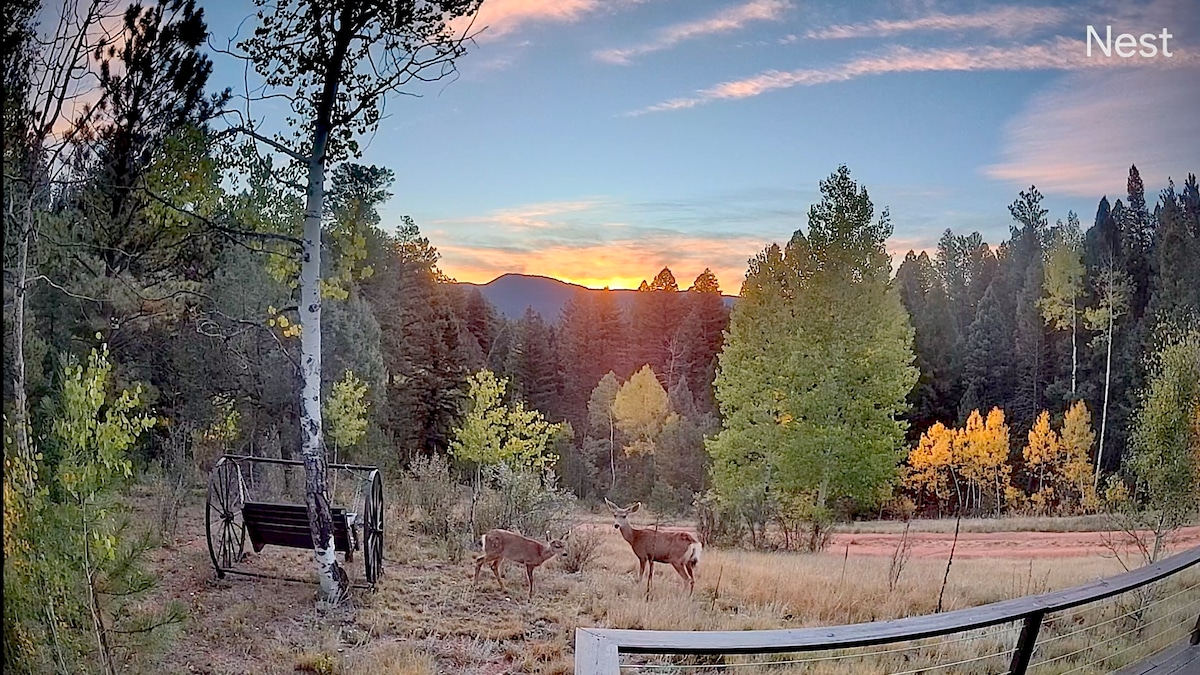 The image captures a serene outdoor view at sunset, featuring deer grazing in a natural landscape surrounded by tall trees and vibrant fall foliage. A vintage swing sits nearby, adding to the peaceful ambiance of the setting against the backdrop of distant mountains.
