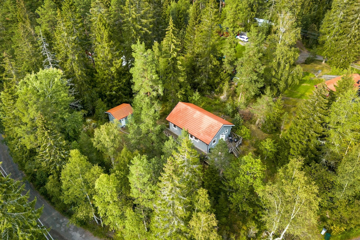 Luxurious and fully-equipped cabin