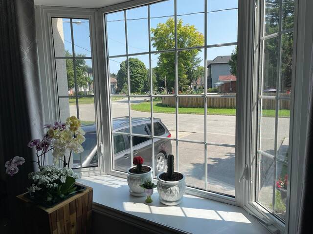 Cozy Home + Large backyard, 20mins from DT! gallery image 5