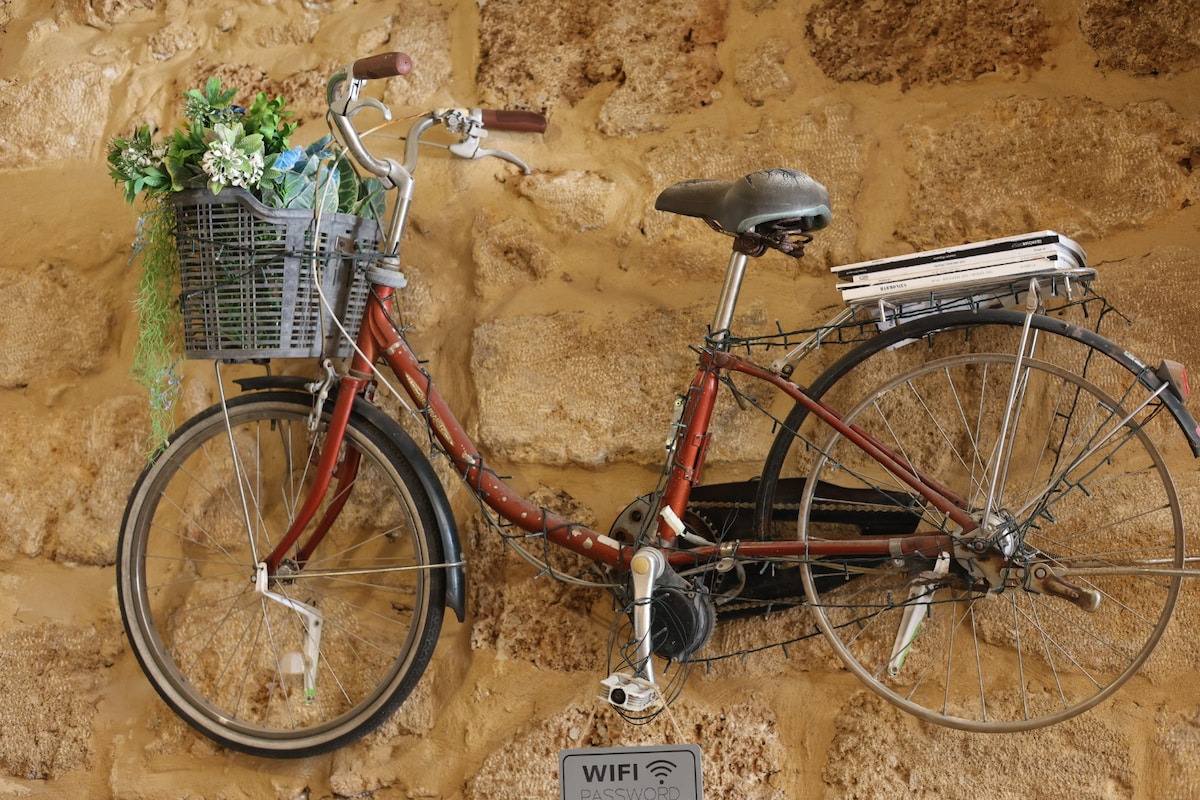 A vintage bicycle is mounted on a stone wall, featuring a basket filled with vibrant greenery. Below, a Wi-Fi password sign is positioned for easy access. The warm tones of the stone contrast with the bicycle's weathered frame.