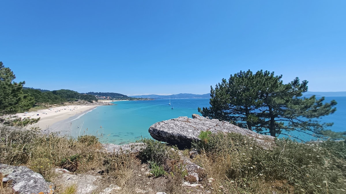 A scenic view of a beach is displayed, featuring golden sand and turquoise water. Trees line the shore, while distant hills are visible along the horizon. A sailboat glides across the water, enhancing the tranquility of the coastal landscape.