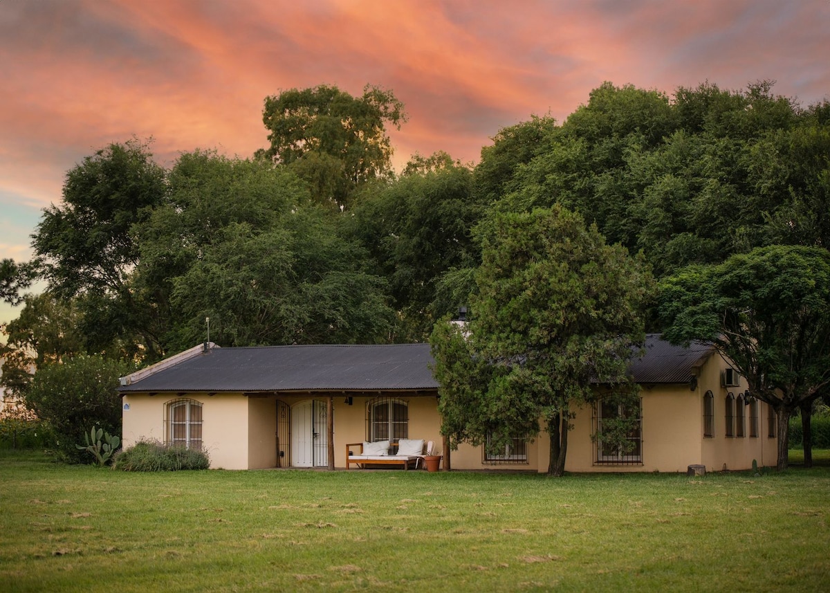 A single-story chalet is set against a vibrant sunset, surrounded by lush greenery. The home features multiple large windows that allow natural light to illuminate the interior spaces. A welcoming outdoor seating area is nestled on a grassy expanse, inviting relaxation.