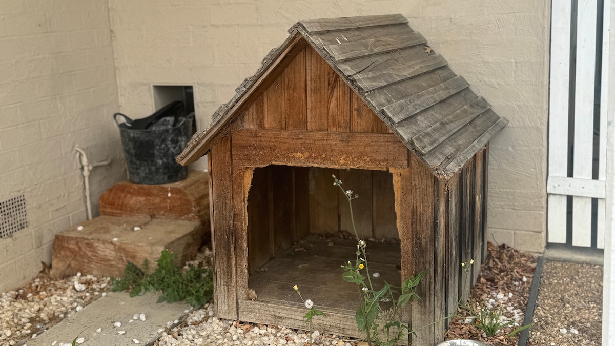 A rustic wooden doghouse is positioned beside a small gravel area. Its slanted roof and natural wood finish provide a charming touch. Wildflowers and greenery can be seen growing nearby, complementing the simple outdoor setting.