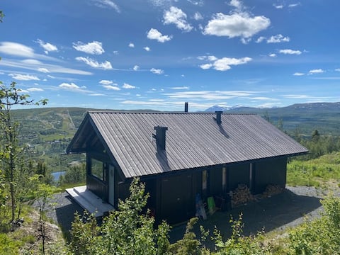 Modern cabin with lovely views