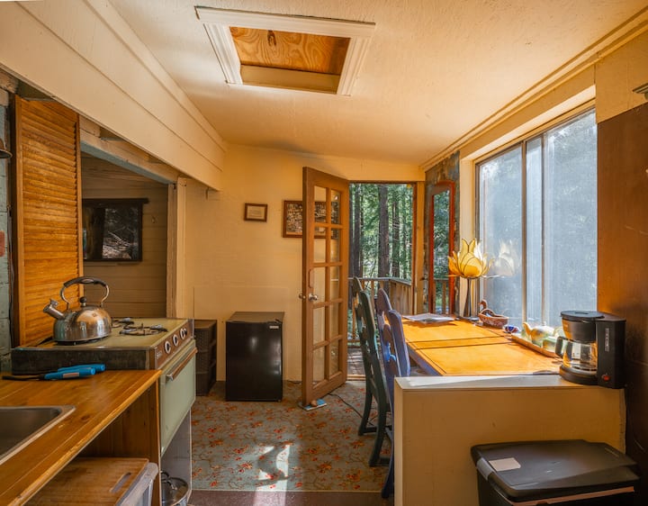 Lotus Blossom Cabin in the Forest