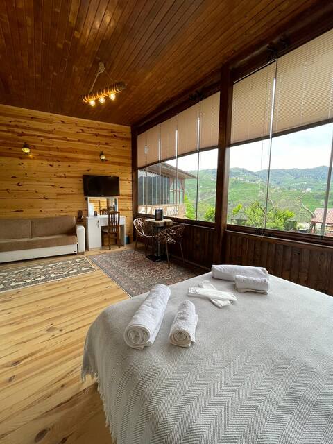 A room with a mountain view