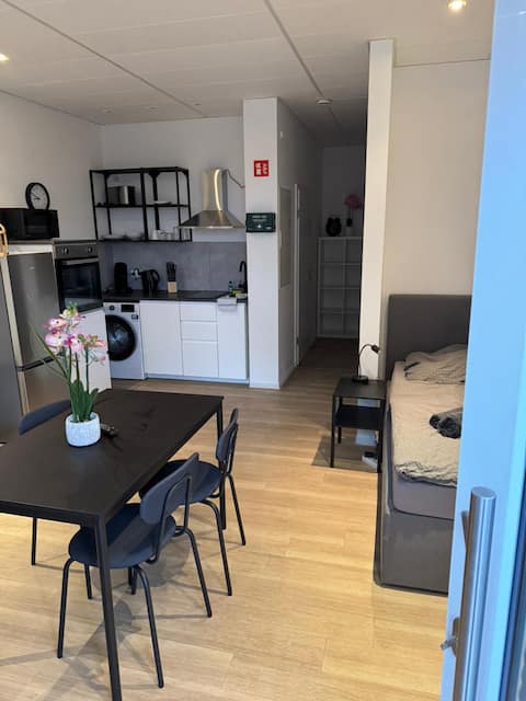 Apartment | 3 single beds | parking spot | Netflix