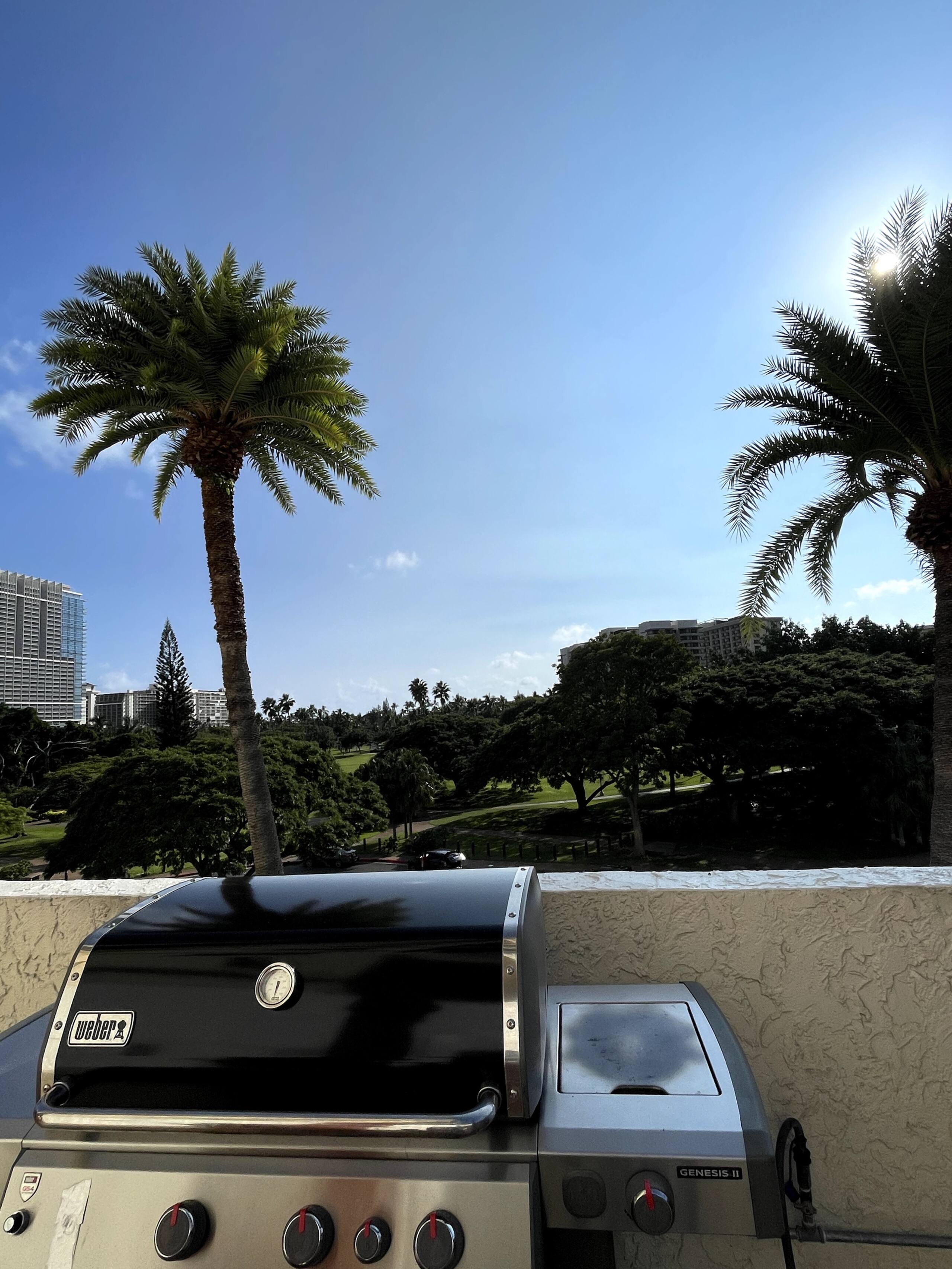 Relaxing 4 Star Luana Waikiki Hotel w/Park View - Image 28