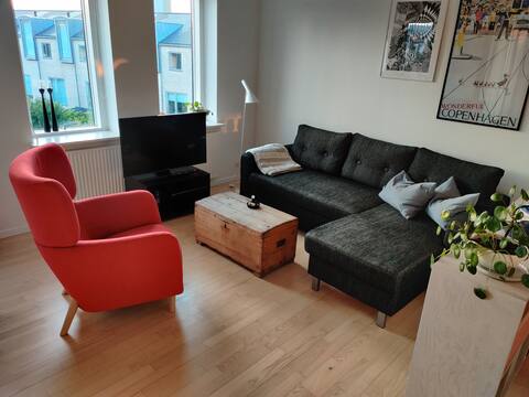 Popular Airbnb listing: Large modern apartment in Valby. in Valby