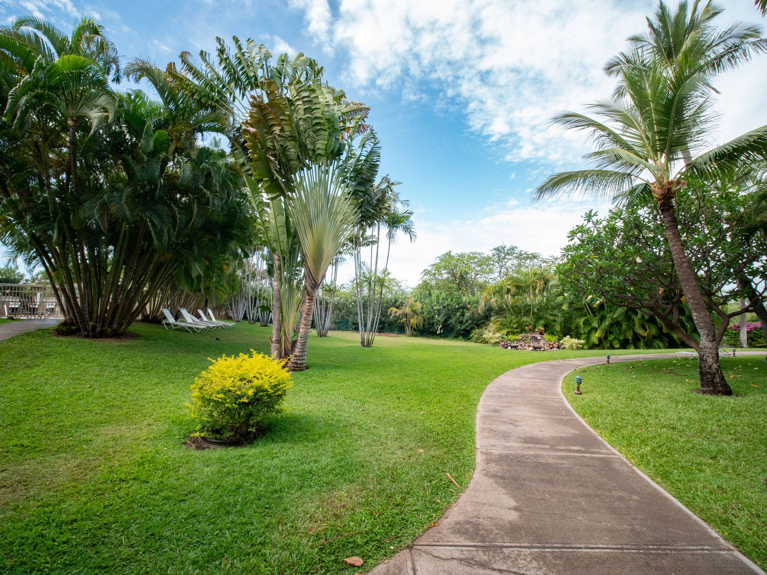 Maui Banyan Closest to the Beach! A201 Kihei - Image 51