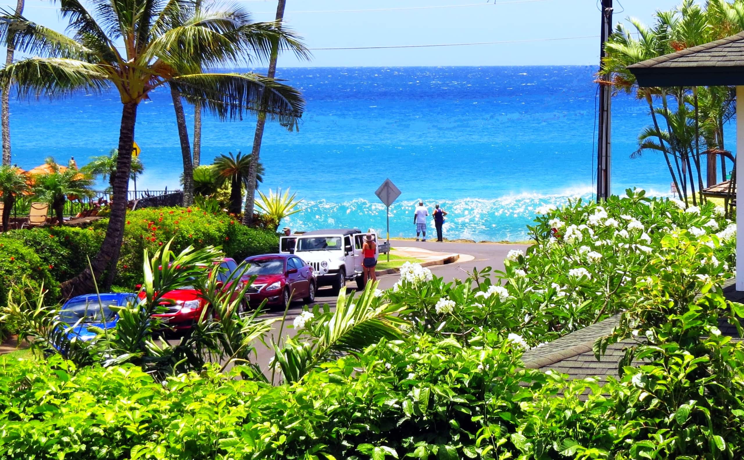 Steps to Poipu Beach, 3BR/3BA with AC and Views - Main photo