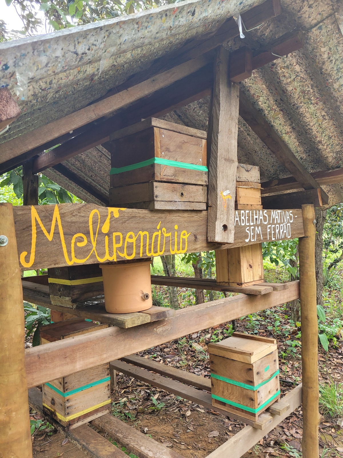 A wooden structure supports several beehives beneath a rusted roof, with a hand-painted sign reading 'Meliponário.' Potted plants are placed on the shelves, creating a natural setting that reflects the surrounding environment.