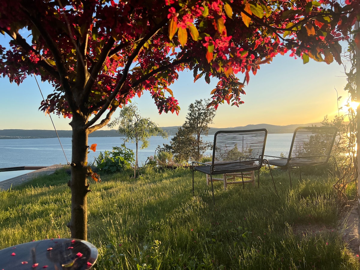 A serene outdoor space is highlighted by a tree with vibrant red leaves, casting dappled sunlight. Two lounge chairs face the water, providing a tranquil setting for relaxation. The grass is lush and green, and the distant view of the fjord is defined by soft, rolling hills.