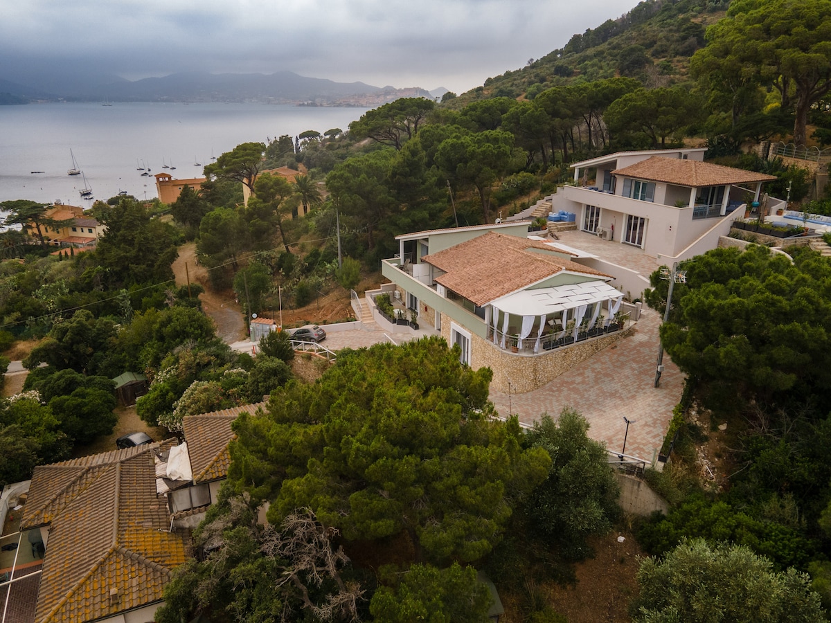 An aerial view captures a modern villa surrounded by lush greenery and mature trees. The spacious terrace features a canopy and overlooks the serene water, enhancing the connection with the outdoors. Nearby properties and sailing boats are visible in the tranquil bay.