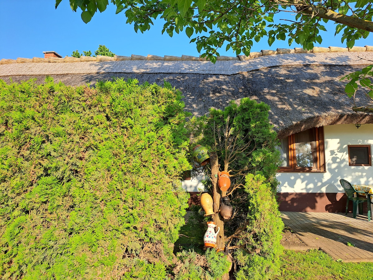 A traditional thatched roof is visible atop a rustic dwelling, complementing the surrounding greenery. Decorative gourds and crafts hang from an evergreen shrub, adding character to the exterior. A small terrace with outdoor seating is present adjacent to the home's entrance.