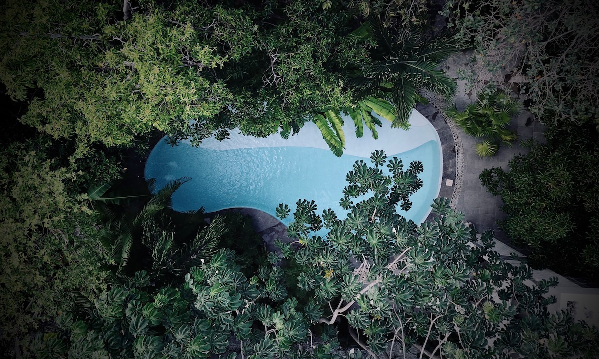 An aerial view showcases a large, crystal-clear pool shaped like an elongated oval, surrounded by lush tropical foliage. The greenery frames the pool, creating a serene and secluded atmosphere within the garden setting.