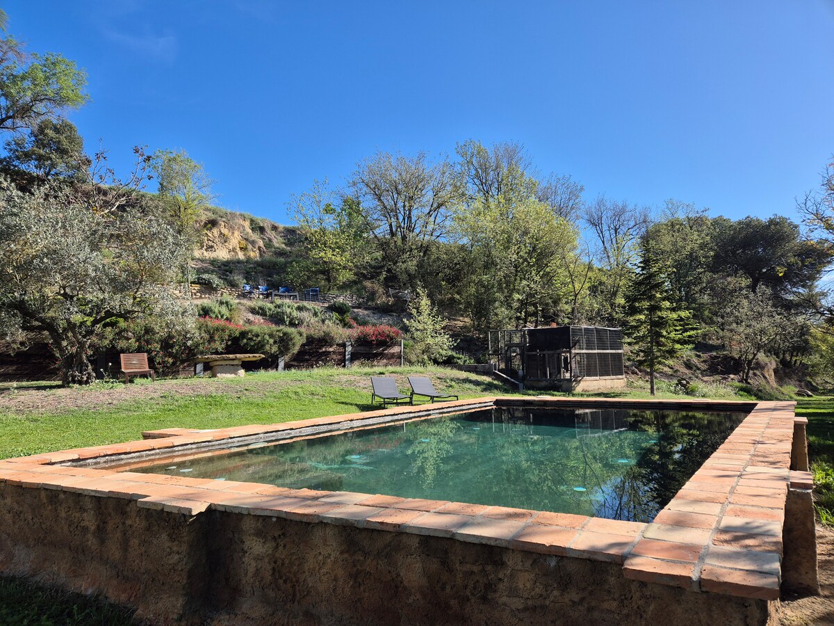 The image displays a rectangular salt-water pool surrounded by grassy areas and trees. A sunbathing area with two loungers is visible next to the pool, which features a stone perimeter. The background reveals a gently sloping landscape dotted with foliage.