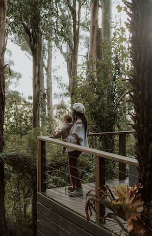 Forest Retreat gallery image 3