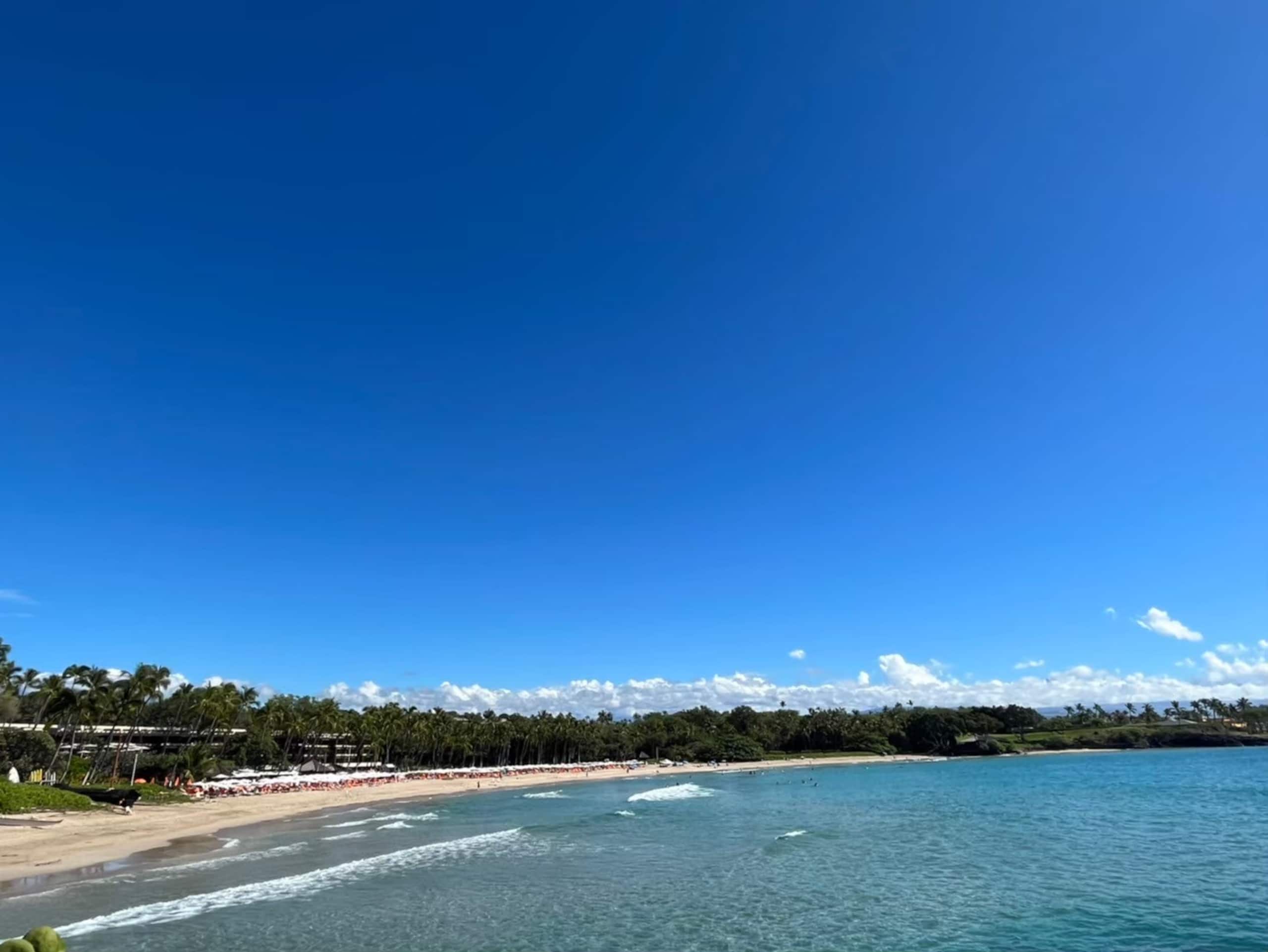 Condo in Honolulu · ★4.65 · Studio · 2 beds · 1 private bath - Image 35