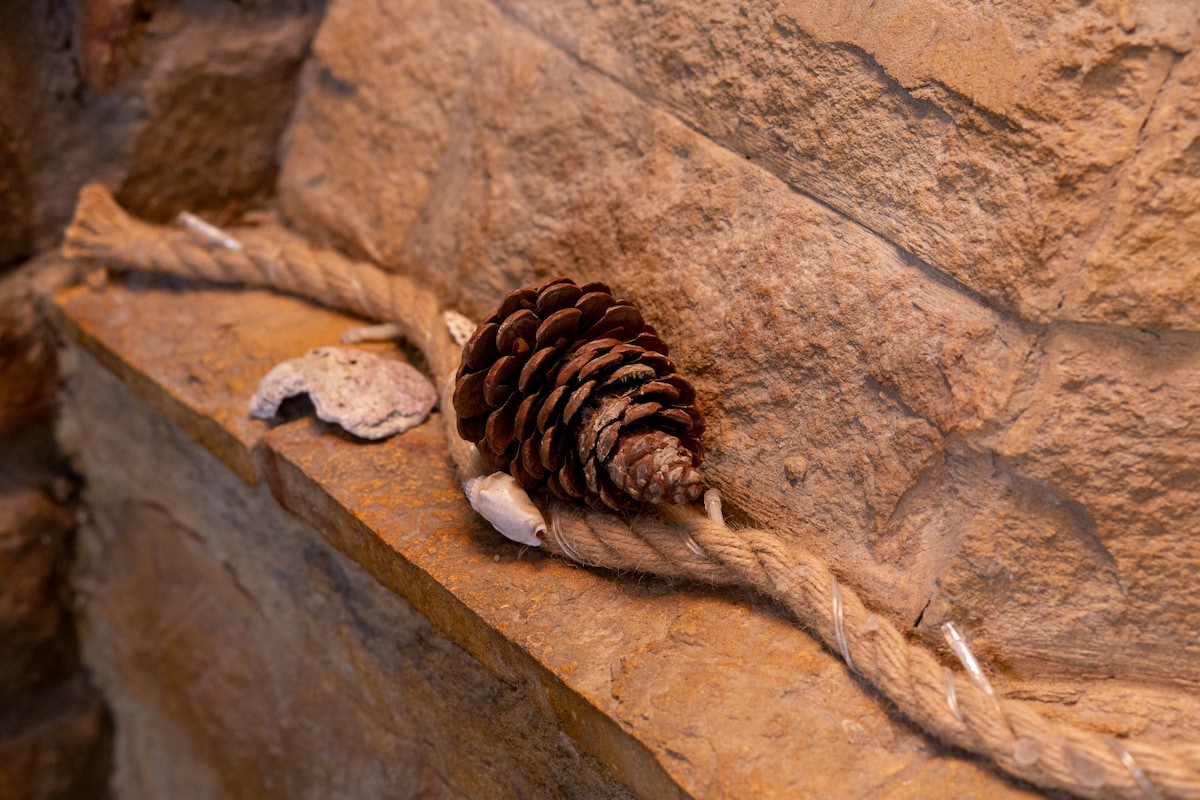 A rustic stone ledge is adorned with natural decor, featuring a large pine cone, a piece of rope, and seashells. The textures of the stone wall and the organic materials create a harmonious display.