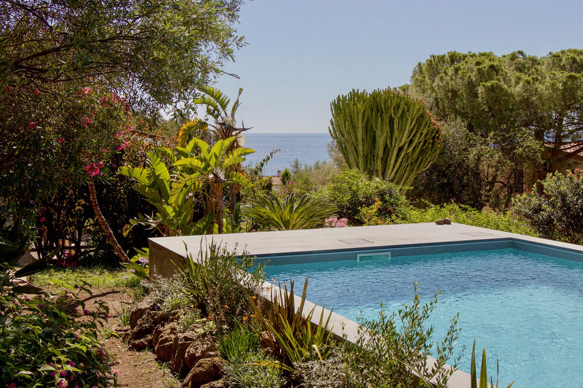 A refreshing pool is situated within a landscaped garden, surrounded by vibrant greenery and colorful flowers. The tranquil waters reflect the clear blue sky, with a view of the Mediterranean Sea visible in the background, enhancing the serene atmosphere of the outdoor space.