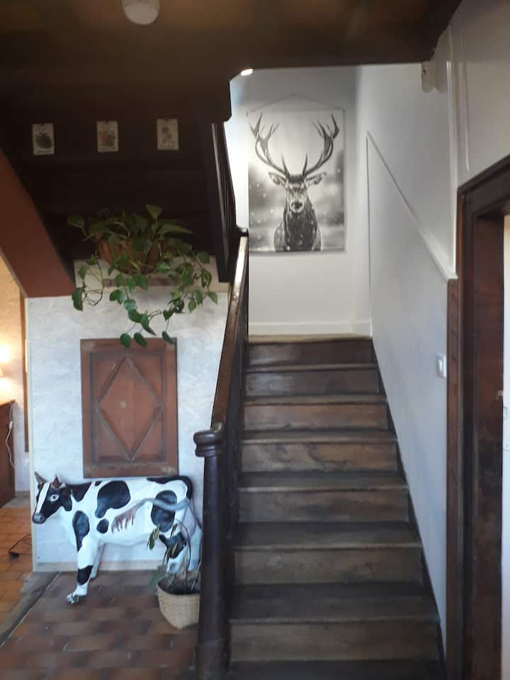 Sala