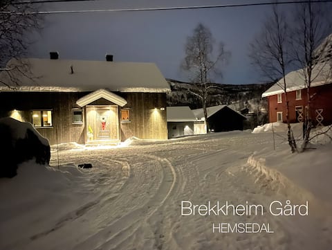 Large modern cabin at Hemsedal