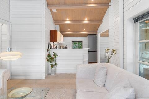 Top performing Airbnb: cottage with jacuzzi and sauna in Faxe